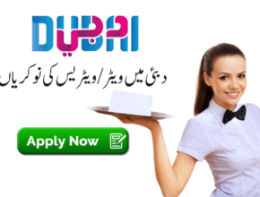 uae-jobs