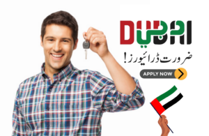 Drivers Required in Dubai (New Hiring)