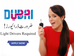 drivers job uae