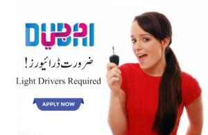 drivers job uae