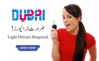 drivers job uae