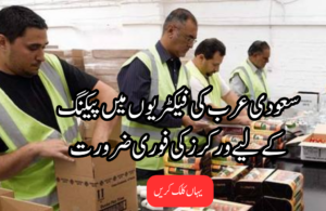 Packing Jobs in Saudi Arabia Await You
