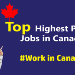 Top Highest Paying Jobs in Canada for 2024