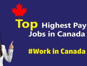 Top Highest Paying Jobs in Canada for 2024