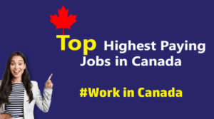 Top Highest Paying Jobs in Canada for 2024