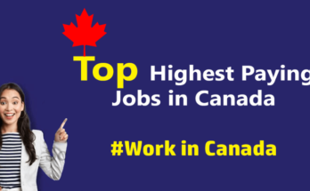 Top Highest Paying Jobs in Canada for 2024