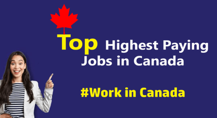 Top Highest Paying Jobs in Canada for 2024