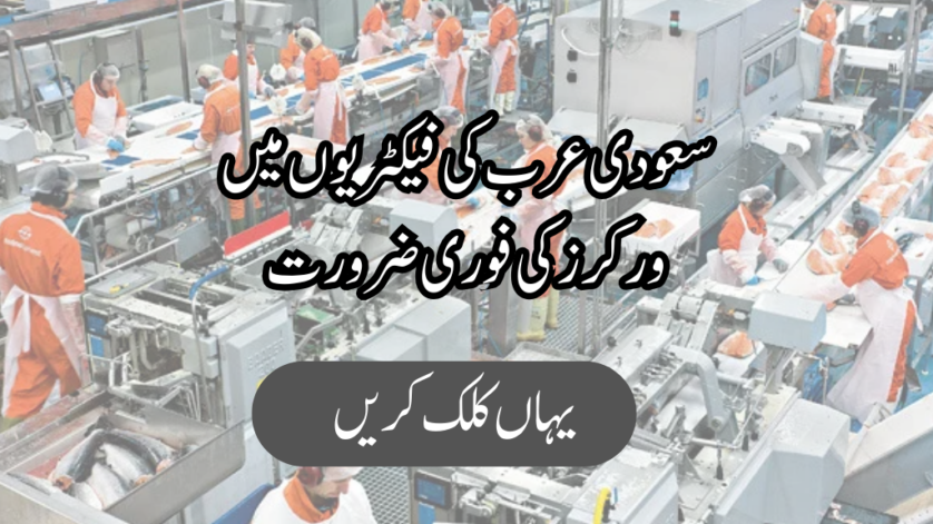 Factory Worker Jobs in Saudi Arabia