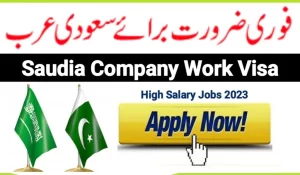 High-Paying Jobs in Saudi Arabia