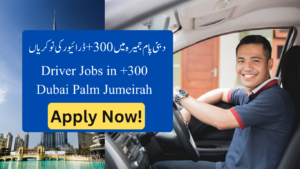 300+ Driver Jobs in Dubai Palm Jumeirah