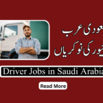 Driver Jobs in Saudi Arabia