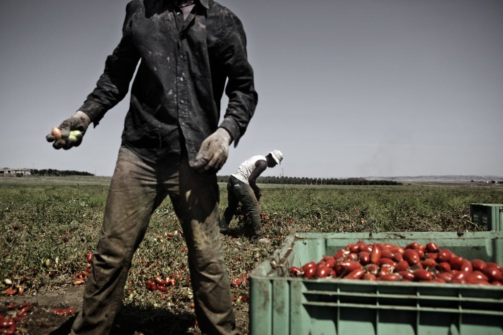 Farm Worker Jobs Italy 2026