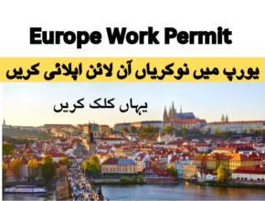 Europe Work Permit Online Apply