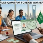 Saudi Arabia Jobs for Saudis and Foreign Workers: Companies, Career Fields, Application Process and Safety Guide